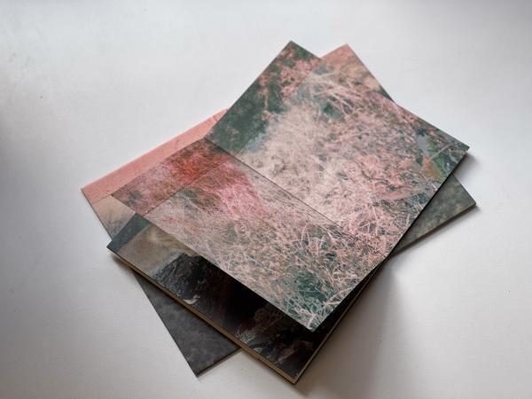 Image from A machete pelao (Raya eds, Colección AñZ) -   