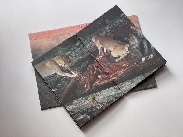 Image from A machete pelao (Raya eds, Colección AñZ) -   