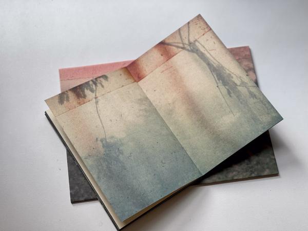 Image from A machete pelao (Raya eds, Colección AñZ) -   