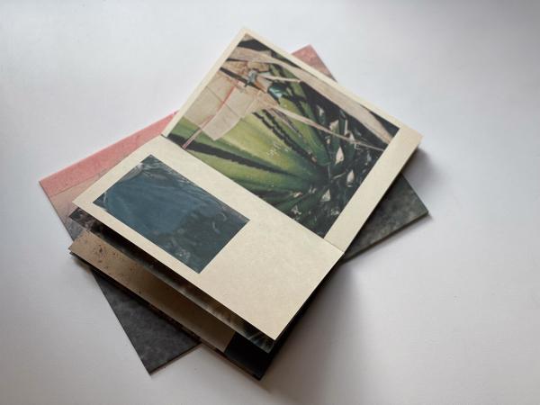 Image from A machete pelao (Raya eds, Colección AñZ) -   