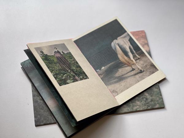 Image from A machete pelao (Raya eds, Colección AñZ) -   