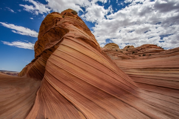 Image from TRAVEL & LANDSCAPES - The Wave Arizona.