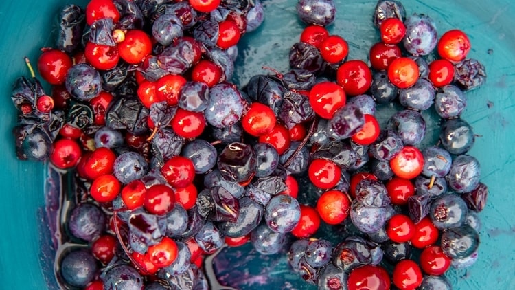  A breakfast of cranberries and...athan Newton/ Washington Post) 
