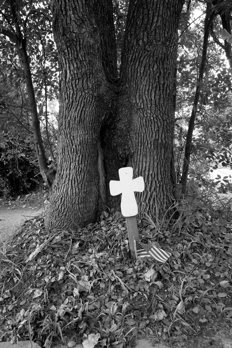 The Hanging Tree - Mobile, AL. 12/6/2015. On March 21, 1981. After the...
