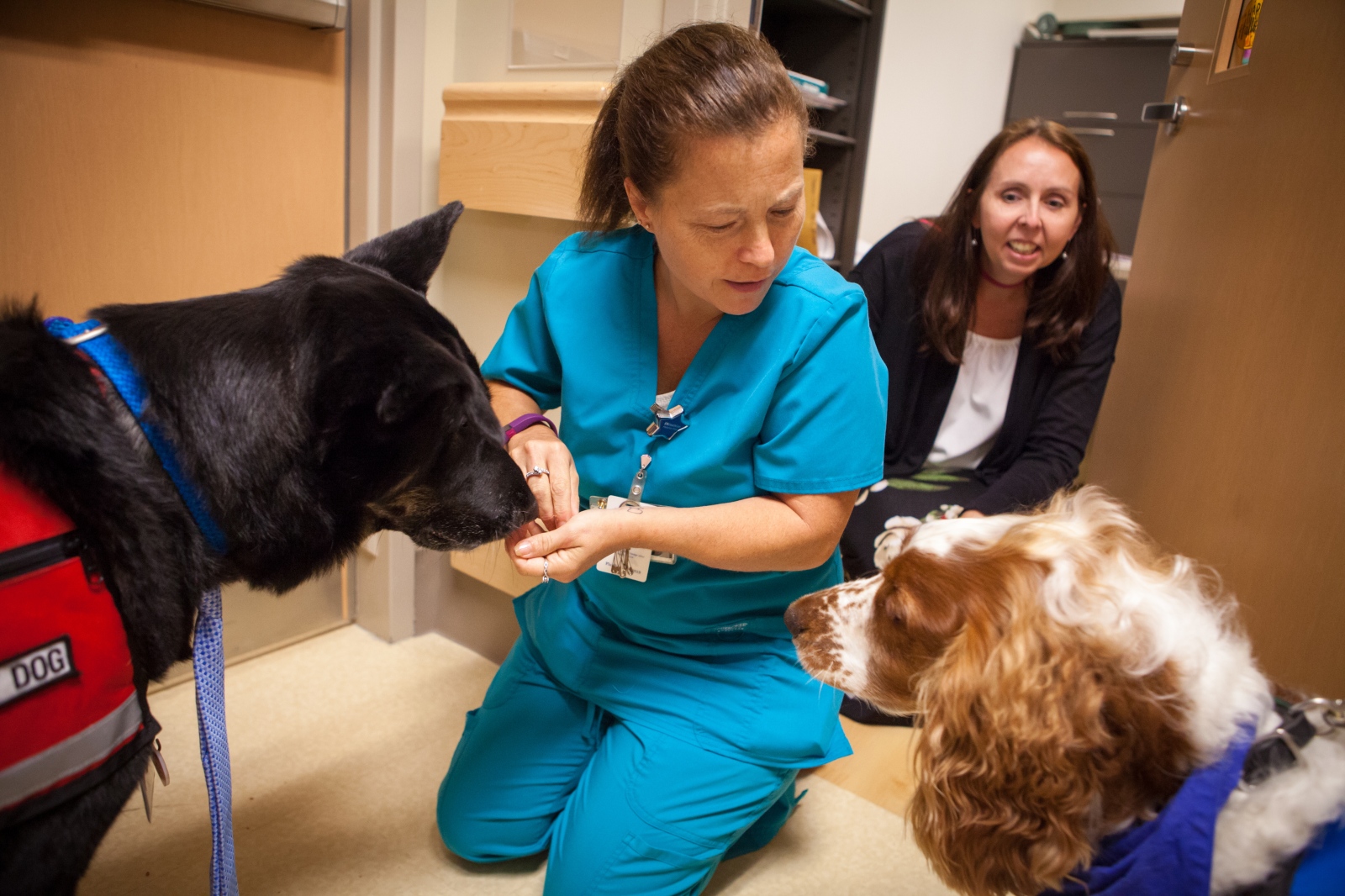 Pet Therapy, Patient Benefit