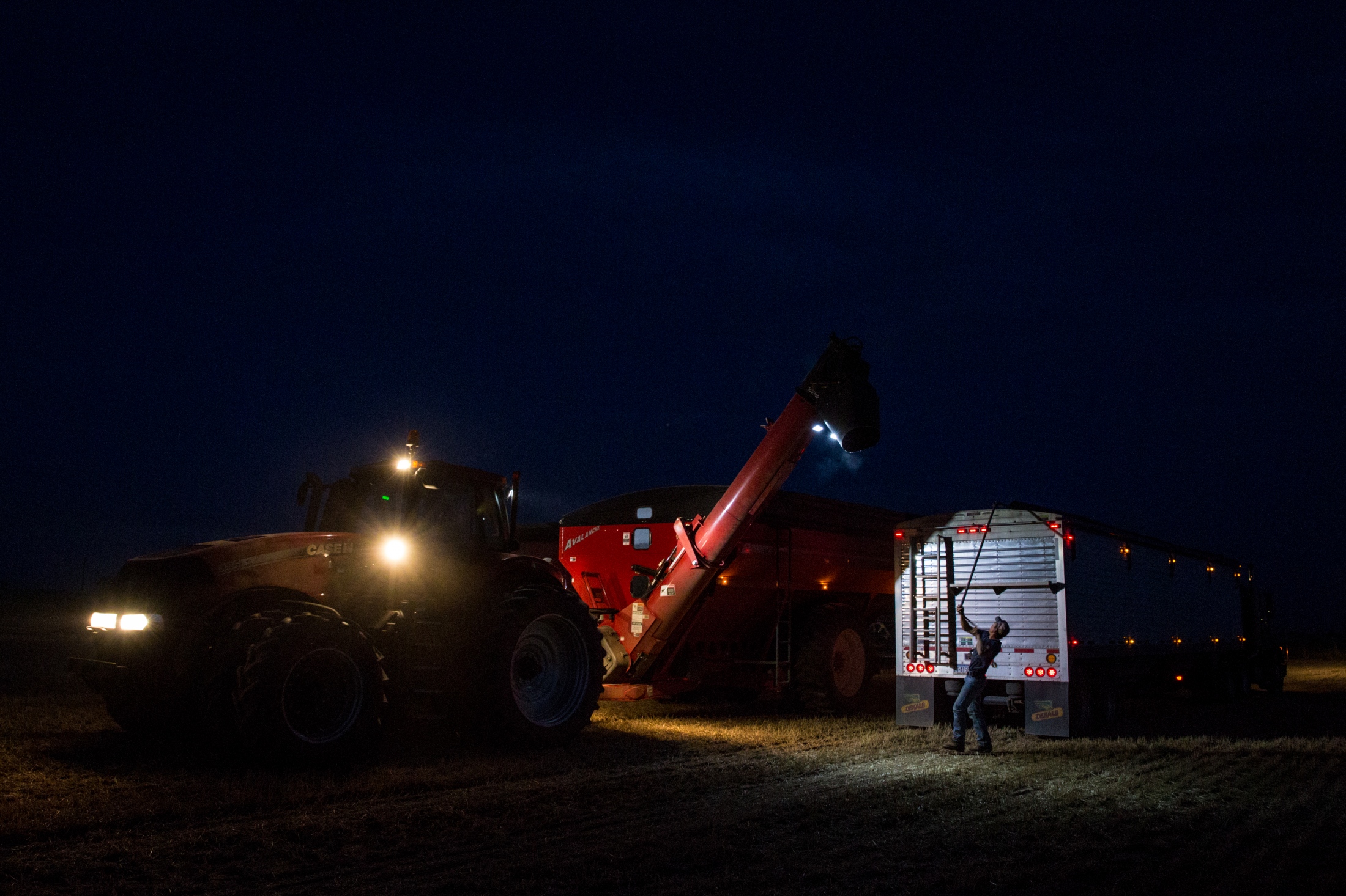 Harvesters -  Hans Shuman, 25, covers the evening's last truck...