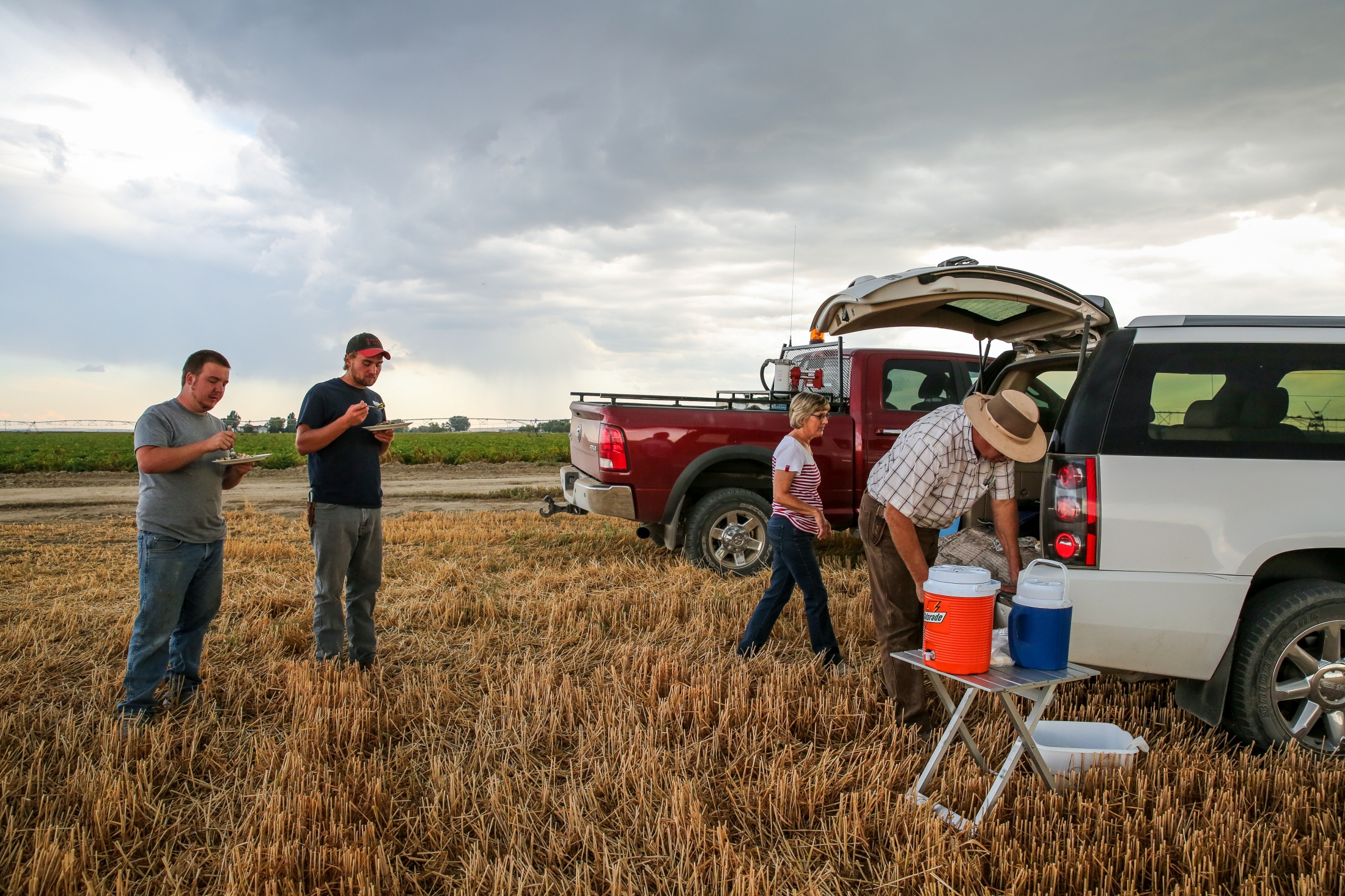 Harvesters -  Harvesters take a brief dinner break on the side of a...