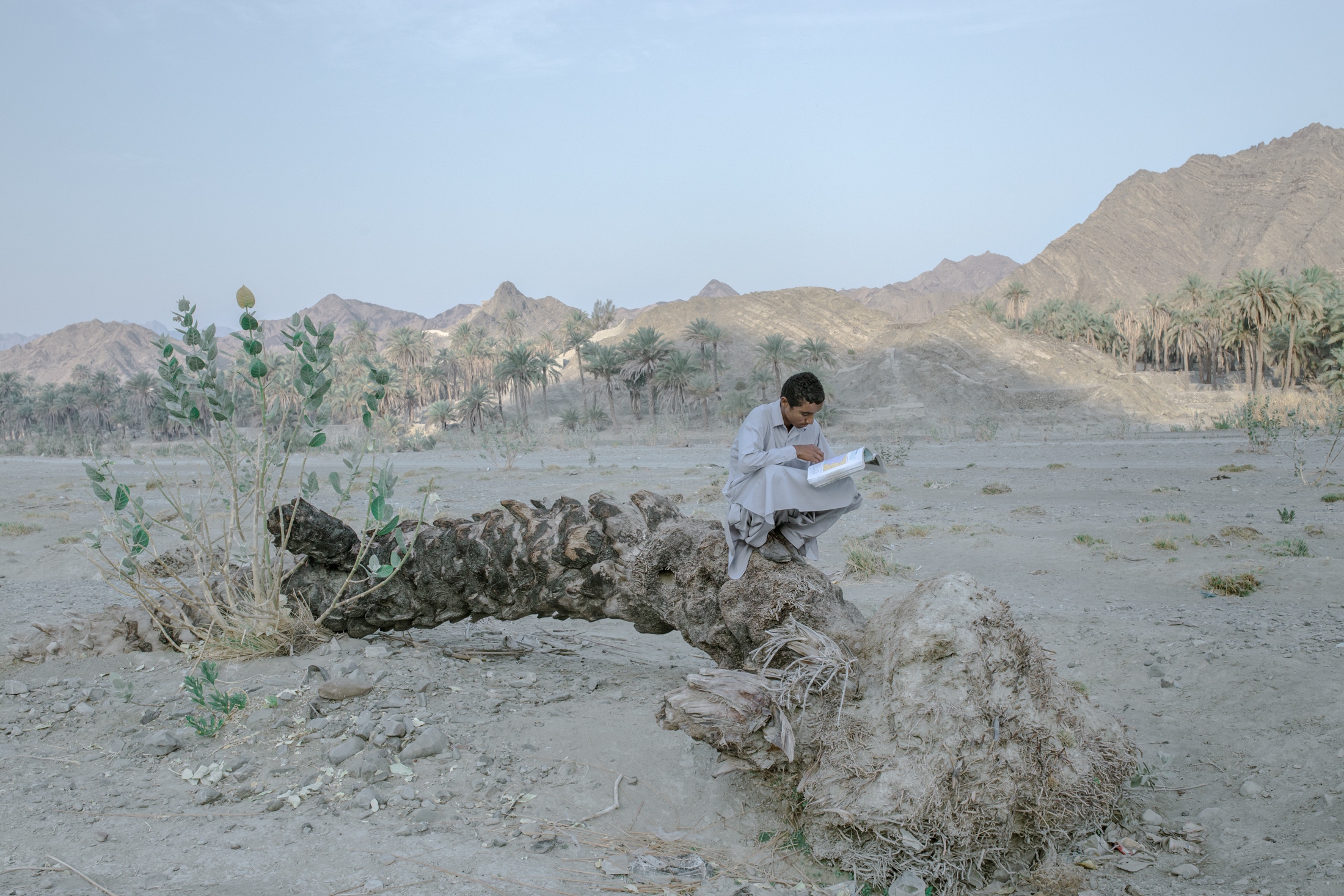 IN THE DESERT OF WETLANDS -   Miran, 17, is studying on the shoulder of the dirt road...