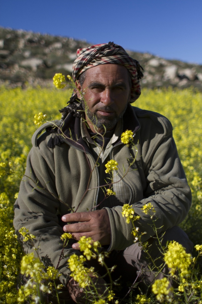 A Shepherd in Tuba - Ahmad's father sits in a wildflower field just outside of...