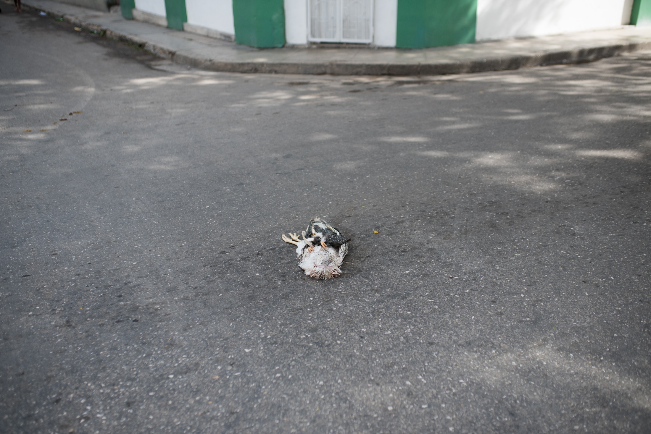 Art and Documentary Photography - Loading Cuba57.jpg