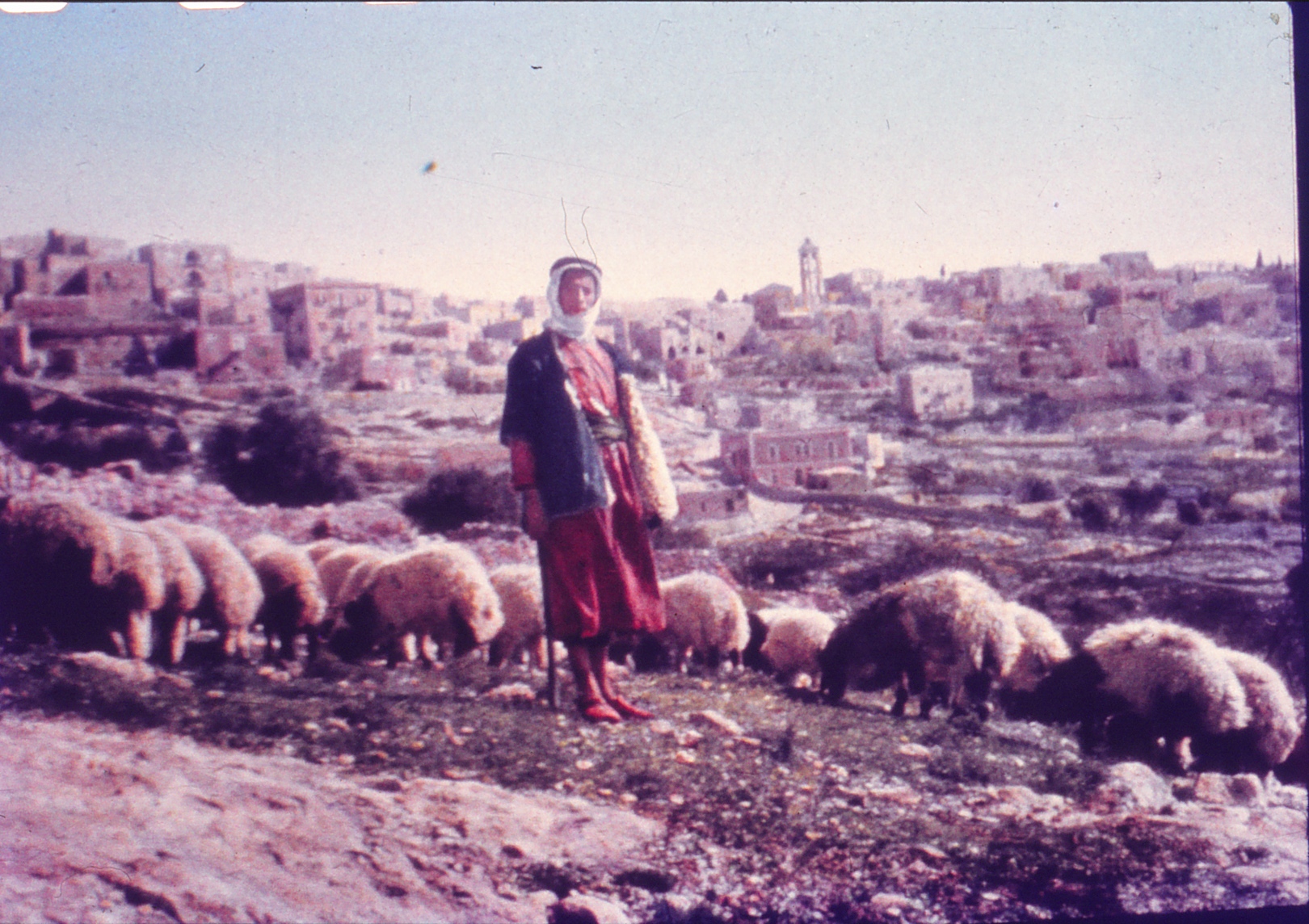 Shepherd&#39;s Field in Bethlehem