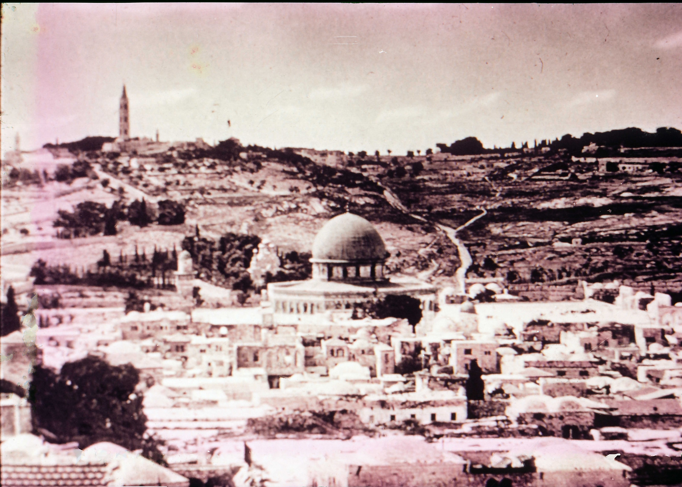 Mount of Olives from Temple Area