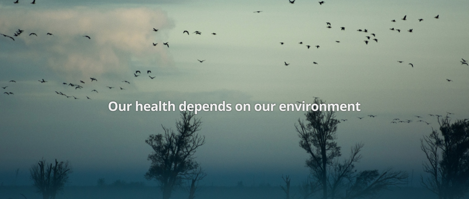 Announcing the new Planetary Health Alliance website