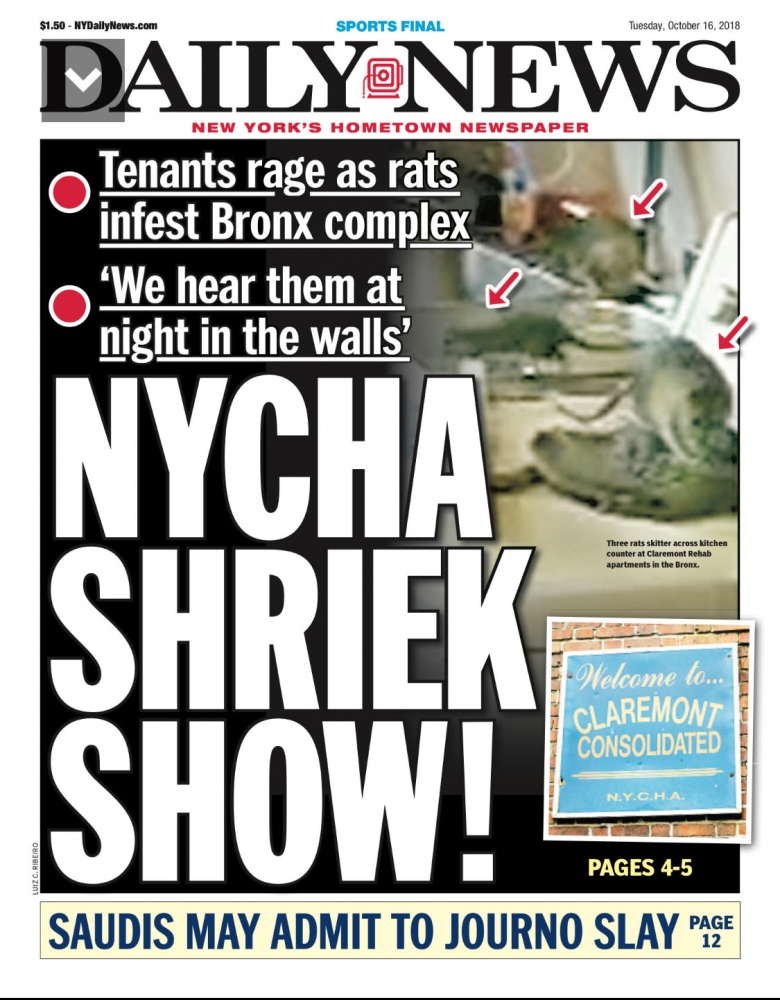Image from Tearsheets - New York Daily News