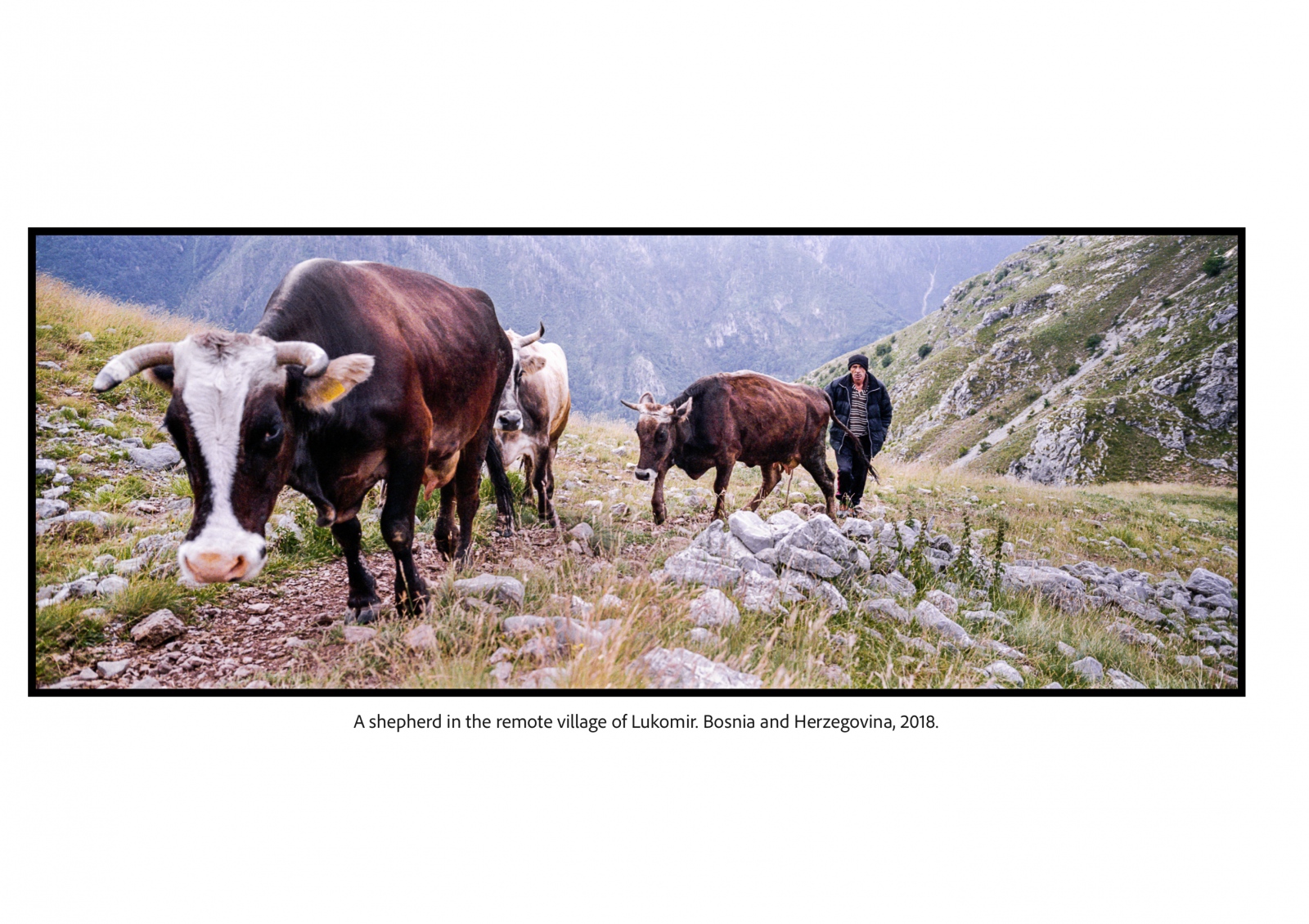 Photography image - Loading Lukomir_pano.jpg