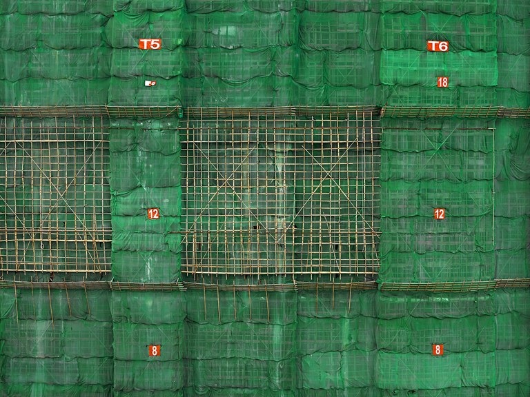 Who Knew Scaffolding Could Be So Mesmerizing?
