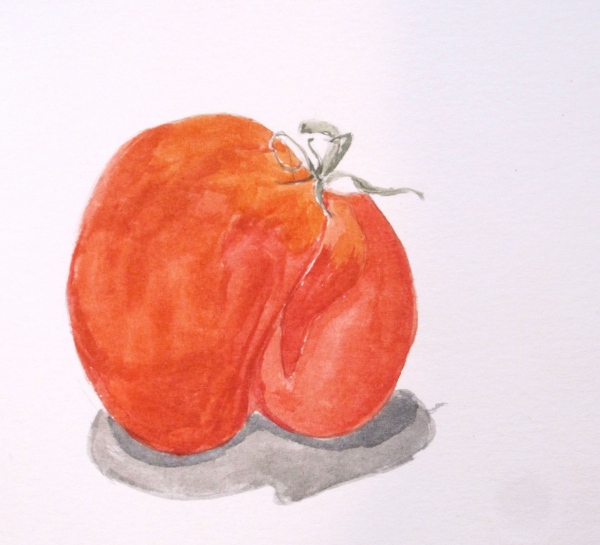 tomatoes - 