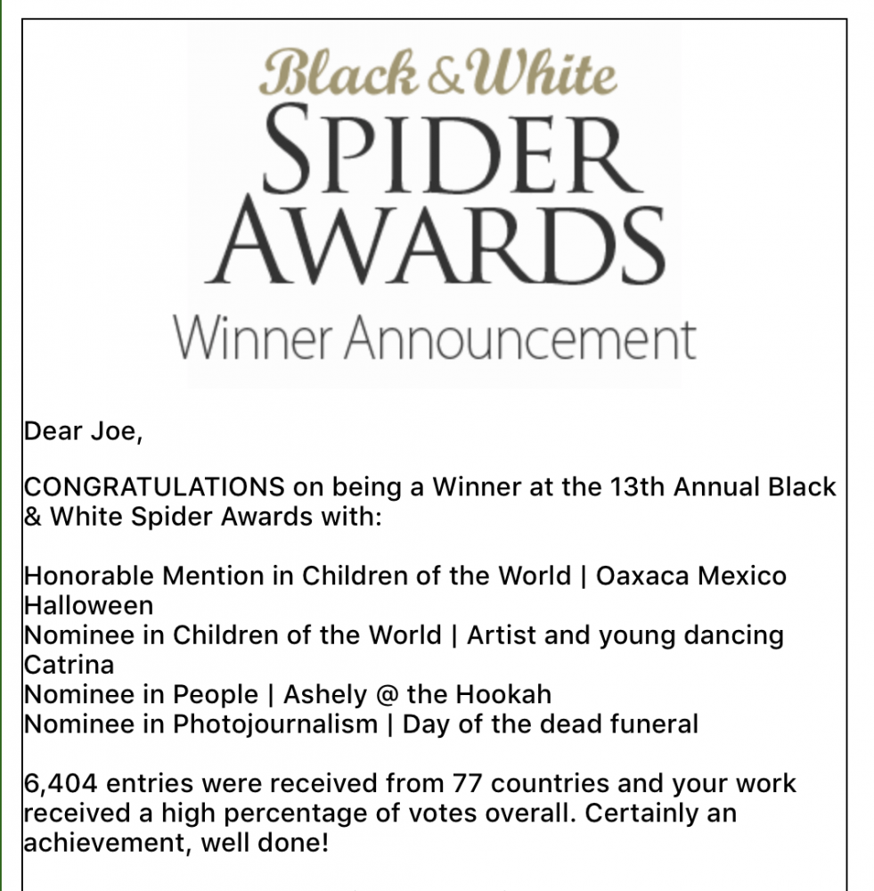 Thumbnail of Black and White Spider award winners