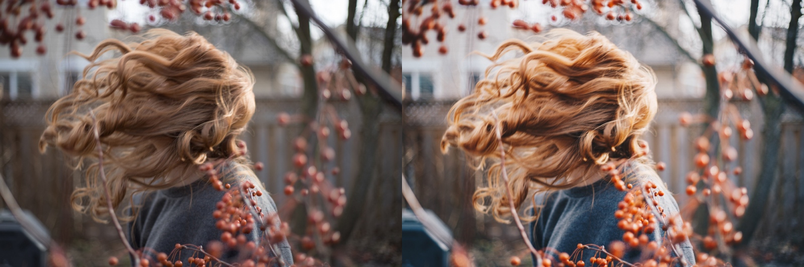 3 Free Lightroom Presets for Photographers