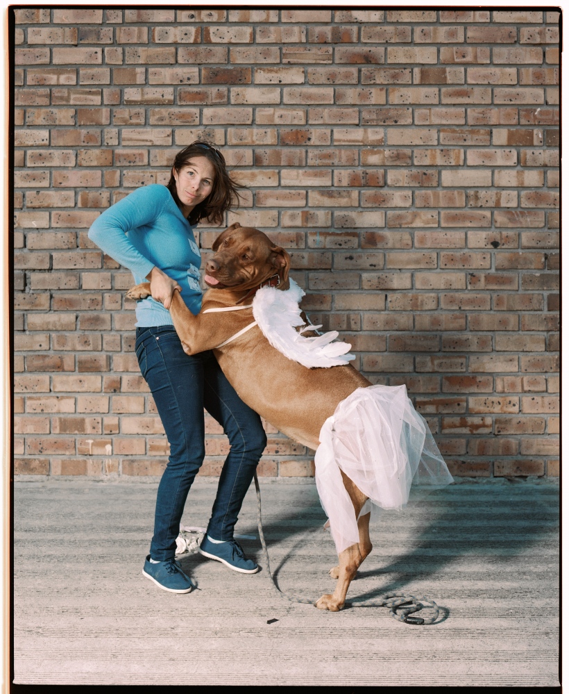 Photography image - Loading gerhardt-coetzee-dog-show-3.jpg