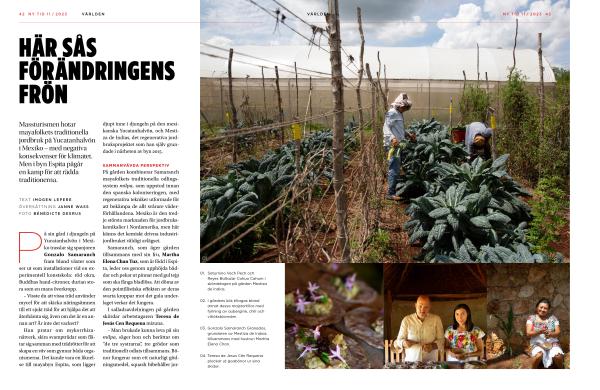 Publication In NY TID (FINLAND) - Photography story by Text By Imogen Lepere &Amp; Photographs By Bénédicte Desrus