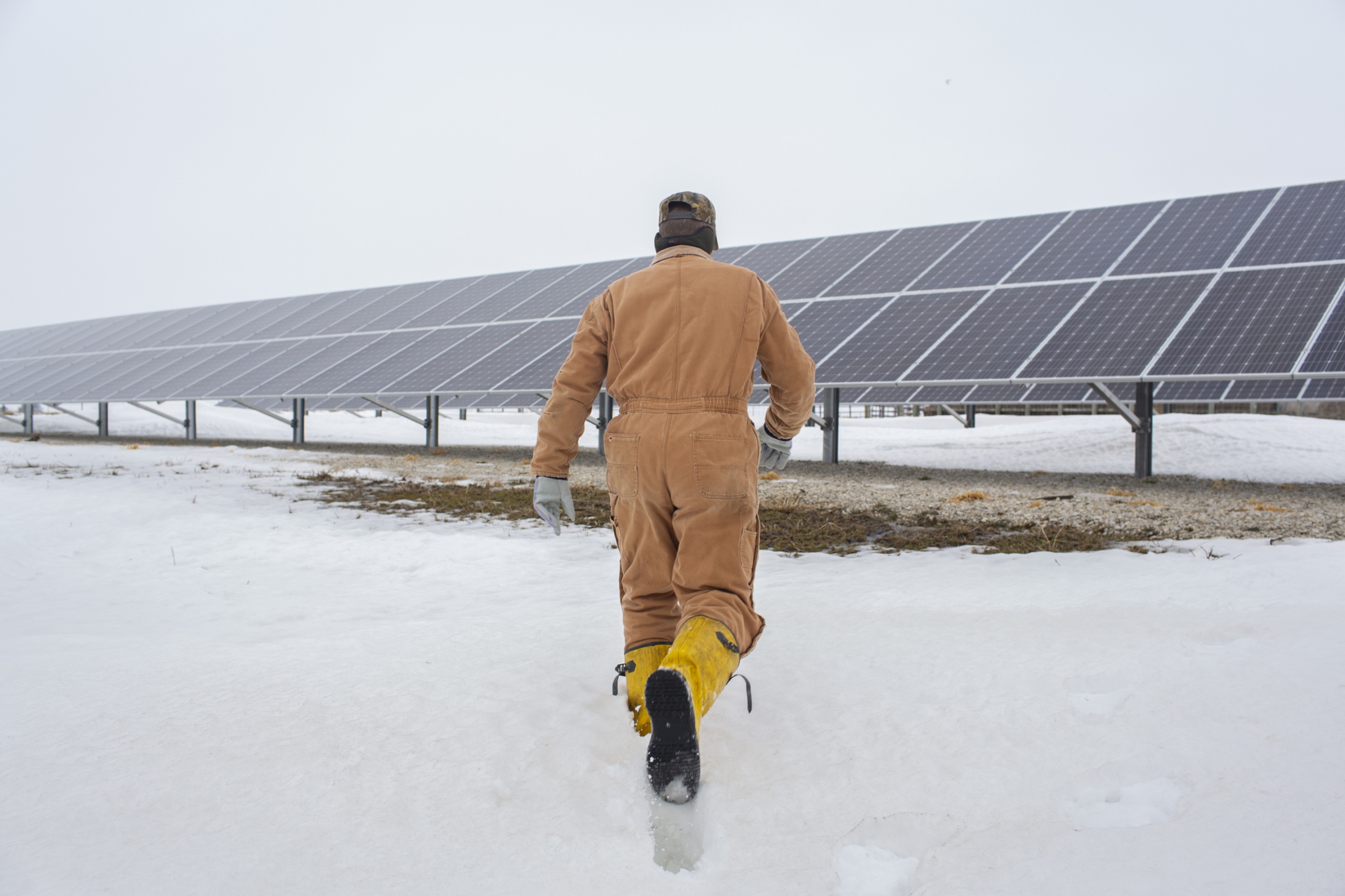 Randy DeBaillie has installed solar panels at his farm in Orion, Ill. Across the flatlands of Illinois, a new crop is rising among the traditional...