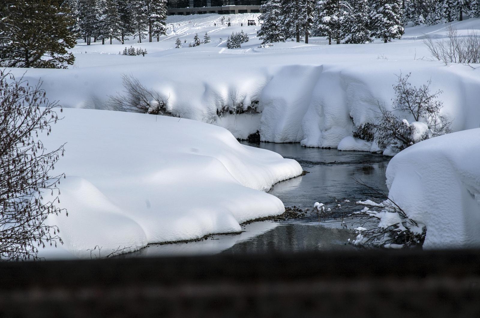 The stillness of Winter