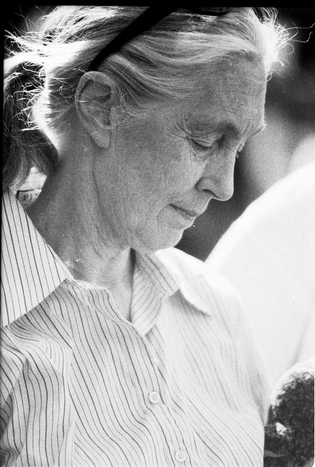 Tish Lampert | Images
