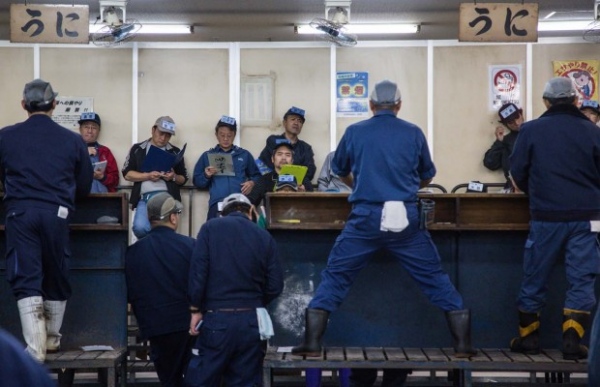 Image from Tsukiji Fish Market
