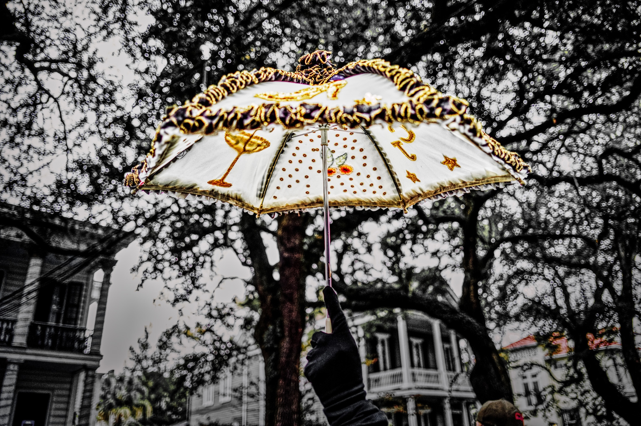 Carnival, New Orleans - 