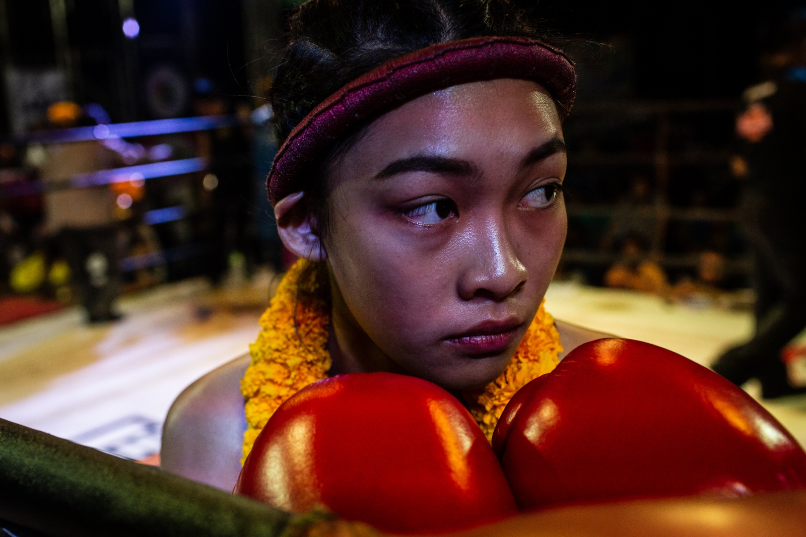 In the Ring | Buy this image