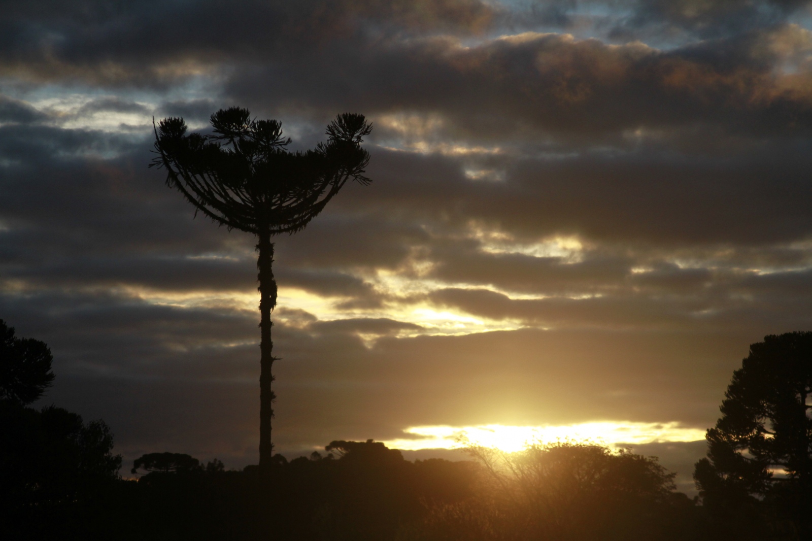 - paisagem um - 