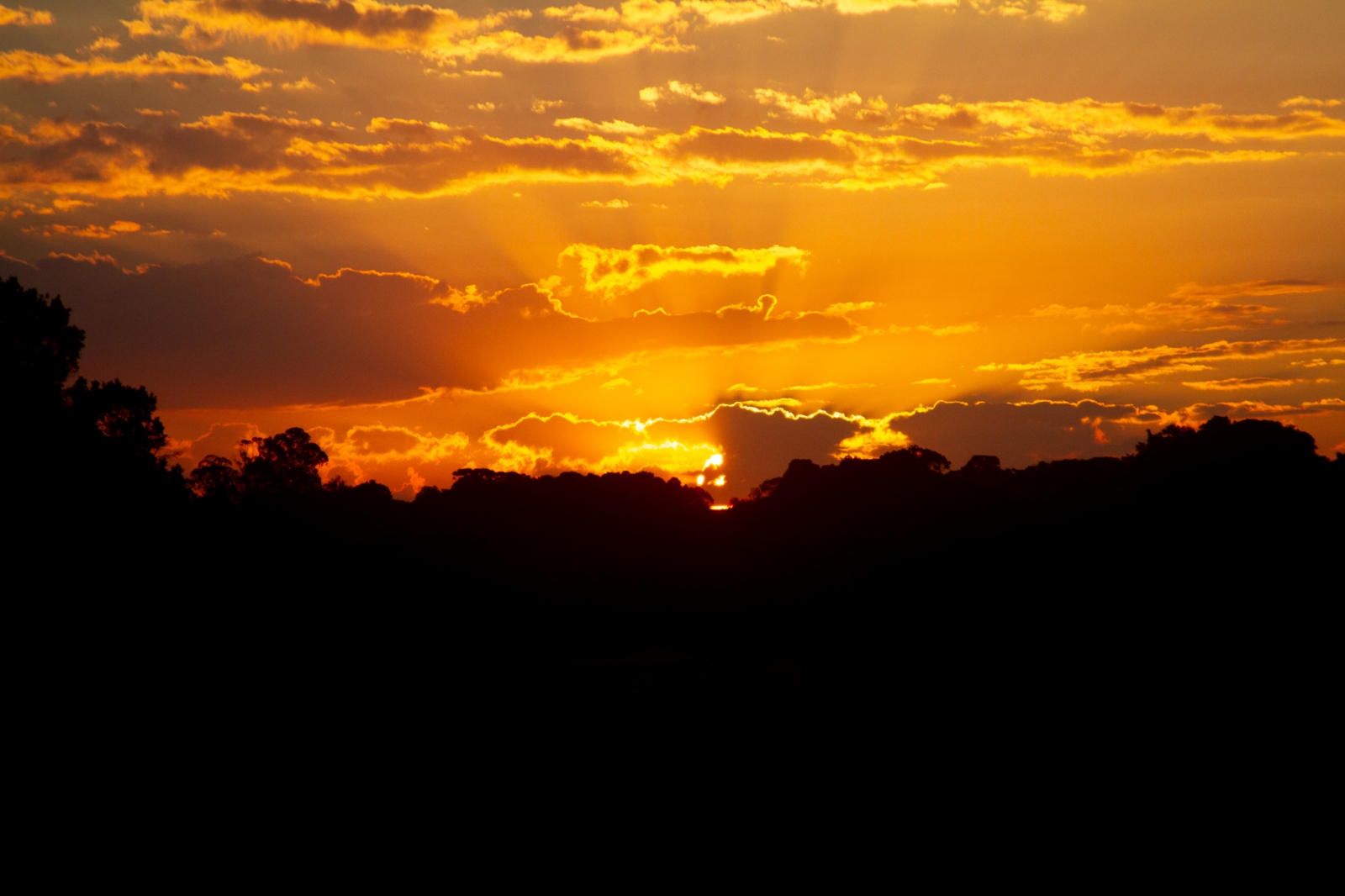 - paisagem um - 