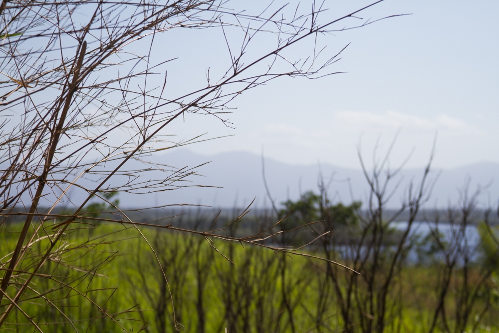 - paisagem um - 