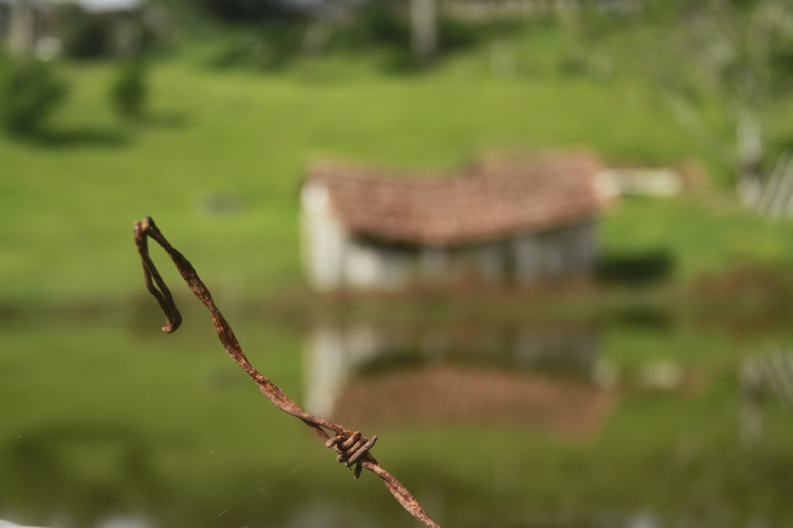- paisagem detalhes dois - 