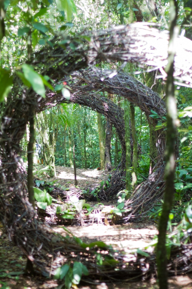 - paisagem detalhes dois - 