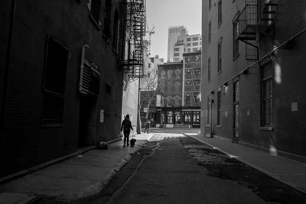 Tribeca Black and White