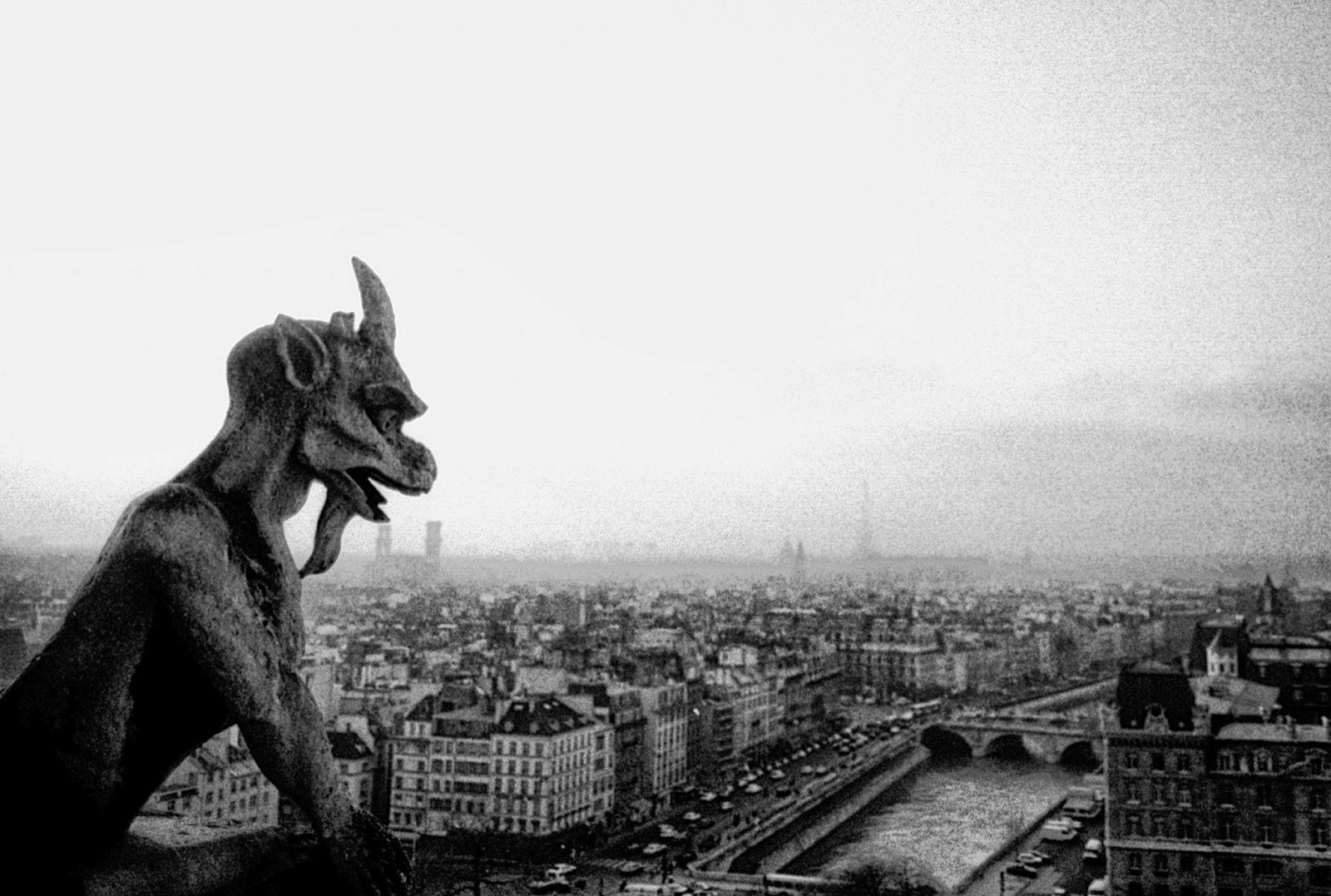  I see Notre Dame is on fire and_irca 1985. Zorki IV, Tri-x 400. 