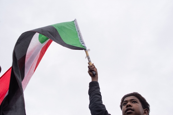 A child holds the Sudanese flag during a protest against Sudanese president Omar al-Bashir. Lille, France - January 12, 2019.  