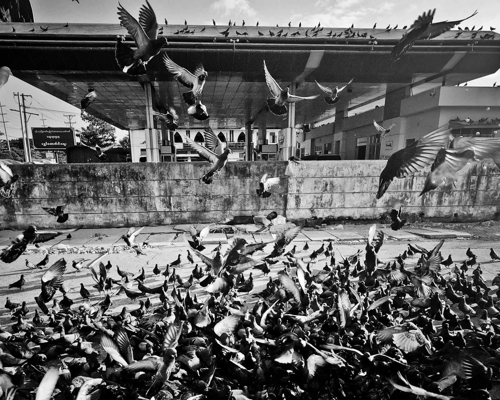Pigeons and a homeless man in a suburb of Yangoon, Myanmar.