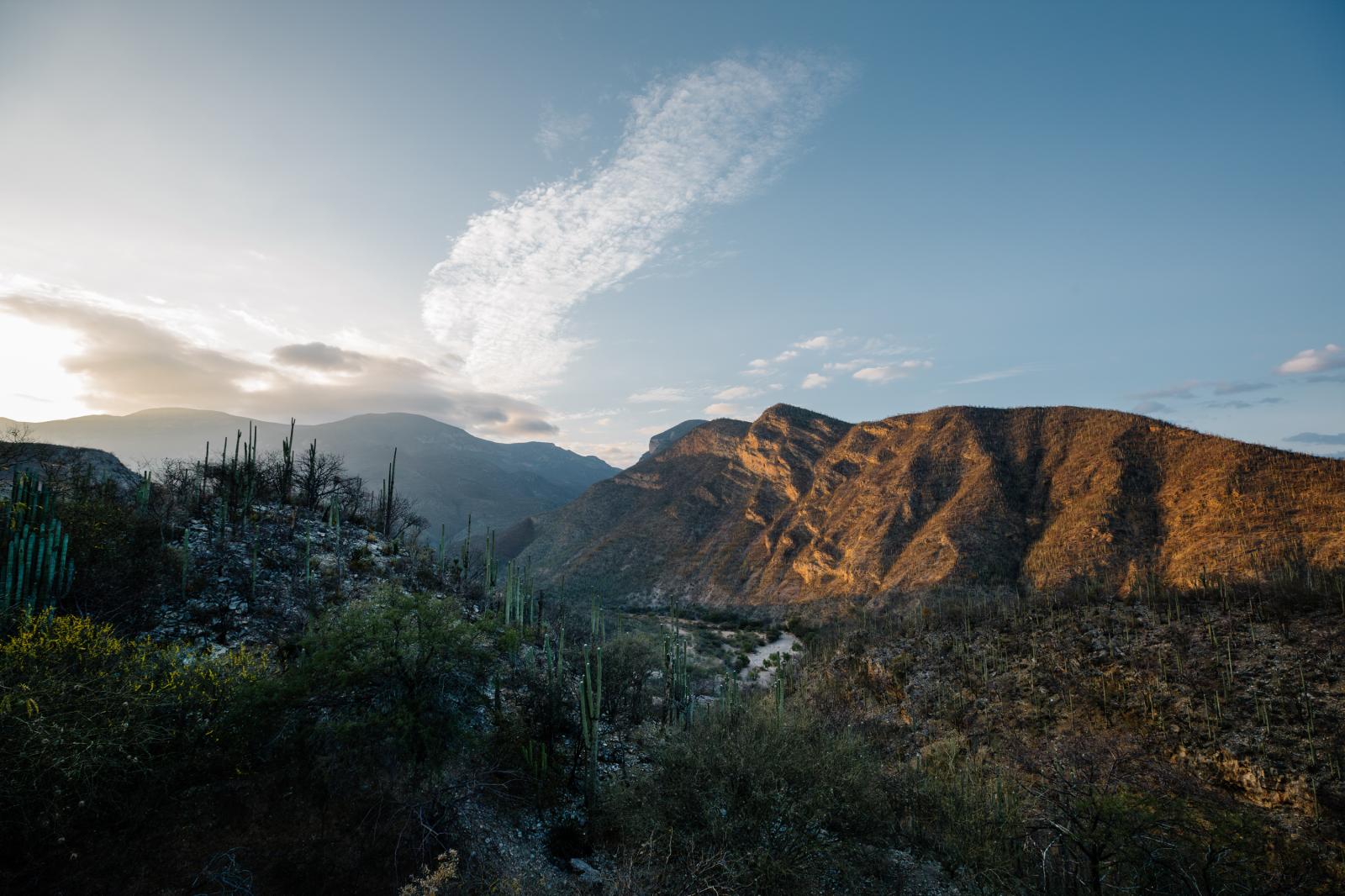 Tehuacán-Cuicatlán Biosphere Reserve 