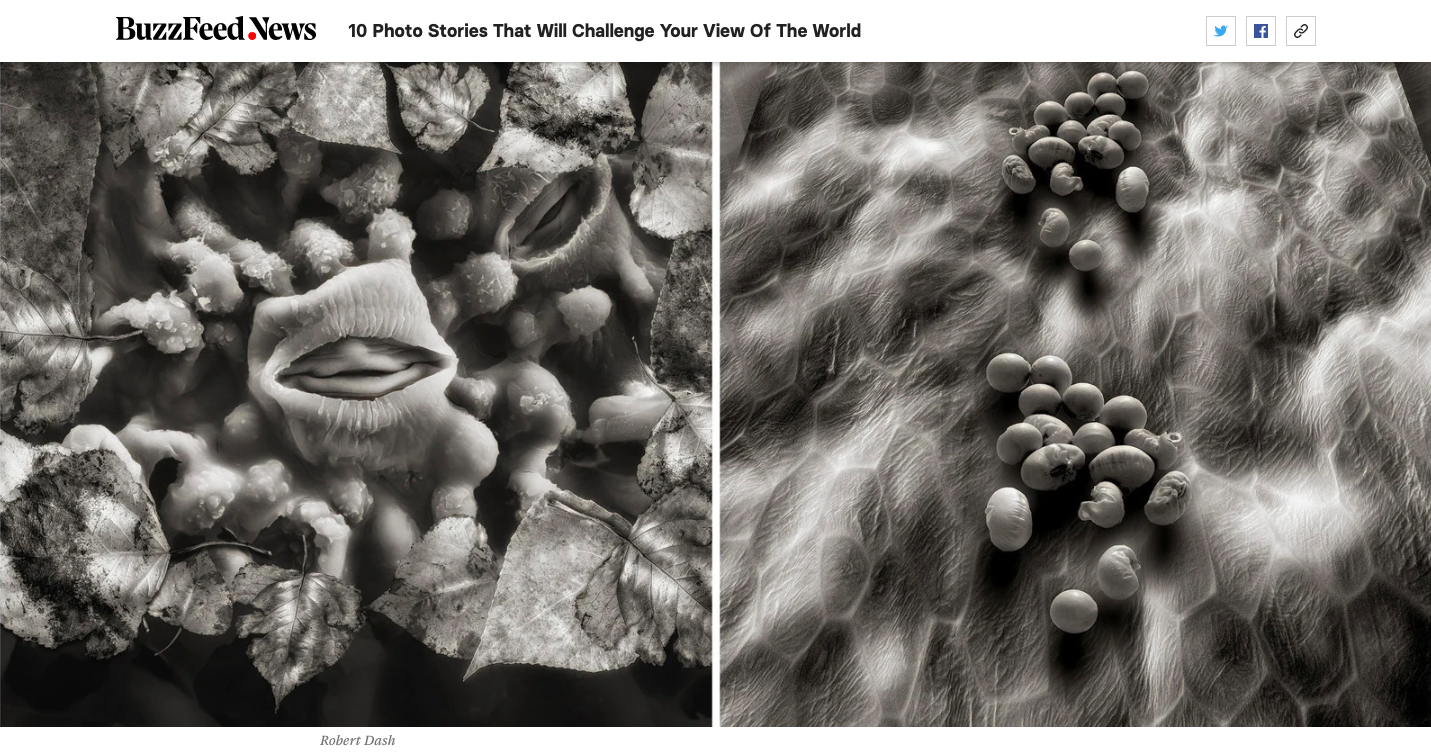 Thumbnail of BuzzFeed News: 10 Photo Stories That Will Challenge Your View Of The World