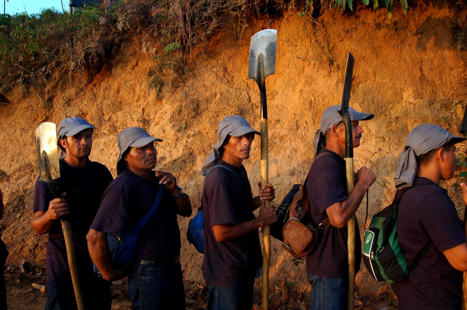 peasant workers get ready to er...te coca crops with their hands.