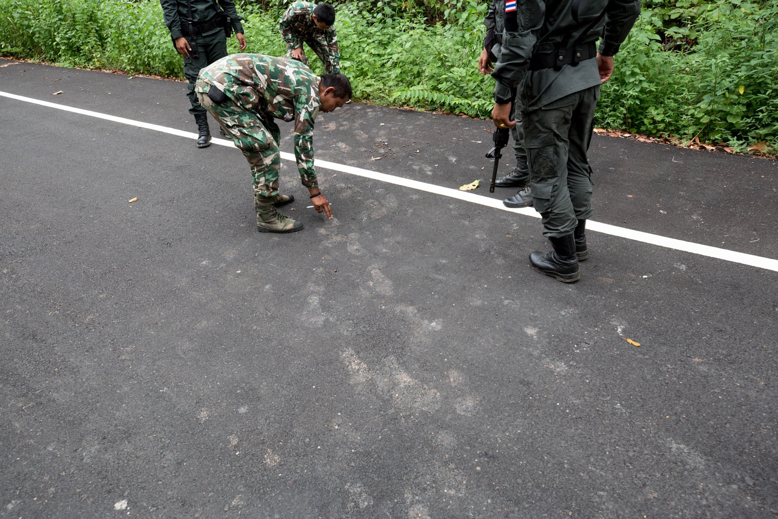 PROTECTING THAILANDS ROSEWOOD - Thai forest rangers and border patrol police inspect...