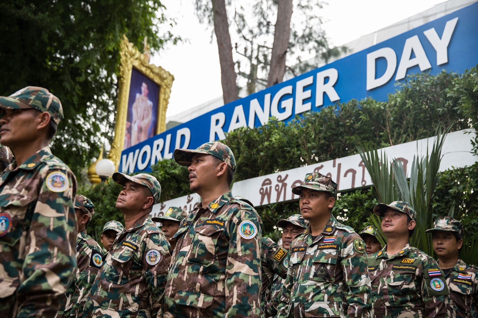 PROTECTING THAILANDS ROSEWOOD - Thai Forest Rangers from every National Park in Thailand...