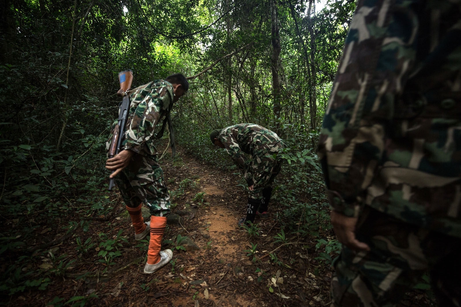THAILAND'S FOREST RANGERS - Thai forest rangers inspect a well known loggers path for...
