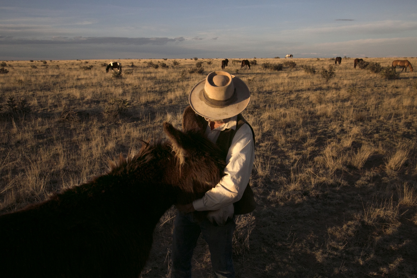 Duke Phillips III hugs his donk... Chico Basin Ranch in Colorado.