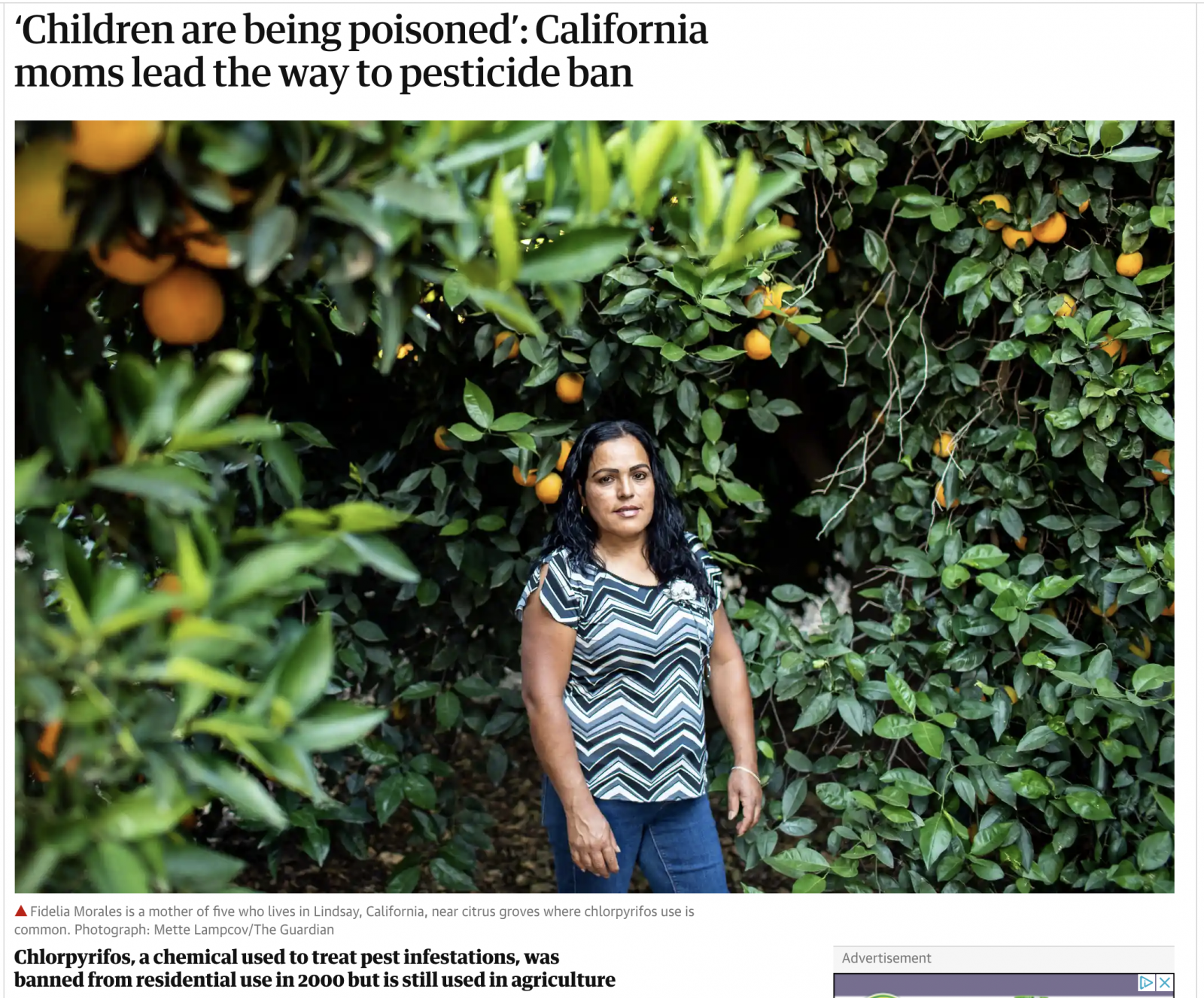 "˜Children are being poisoned': California moms lead the way to pesticide ban