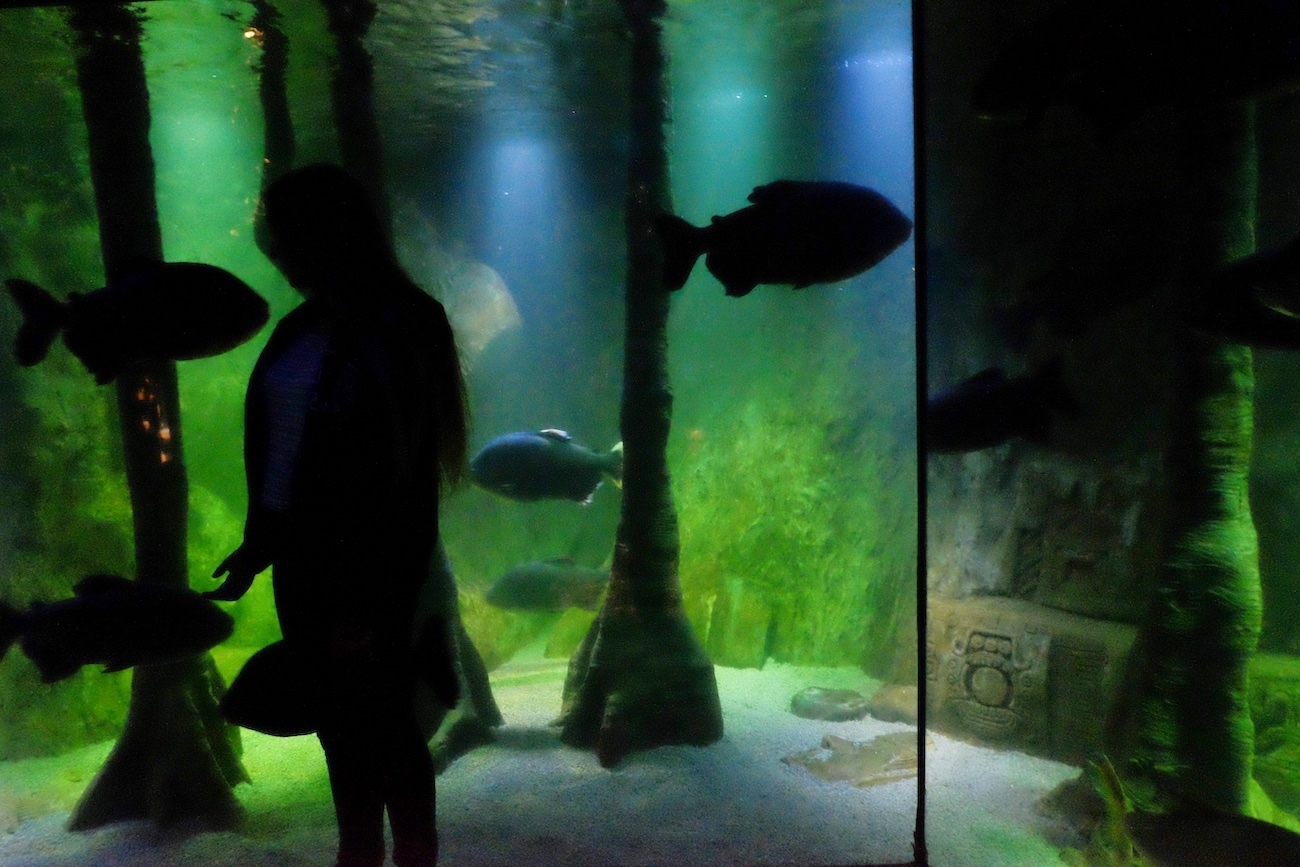 Big city - Girl and fish, London Aquarium