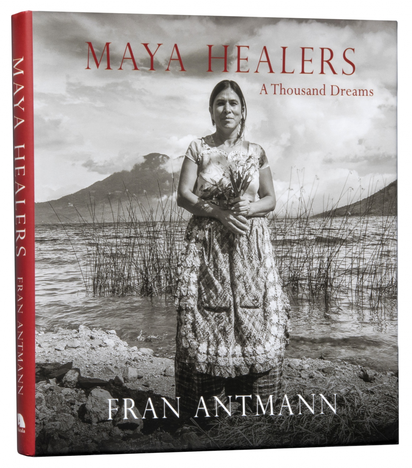 Maya Healers Book - 
